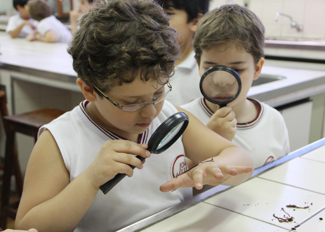 Read more about the article Comunidades 2011- 2º ano do Ensino Fundamental I