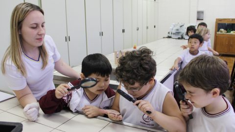 Comunidades em Equilíbrio – 2º ano do Ensino Fundamental – agosto e setembro de 2011