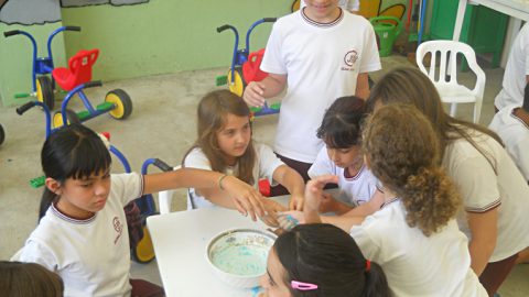 Projeto “Conhecendo o Açúcar”