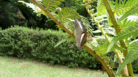 Passeio ao Jardim Botânico - 3º EM