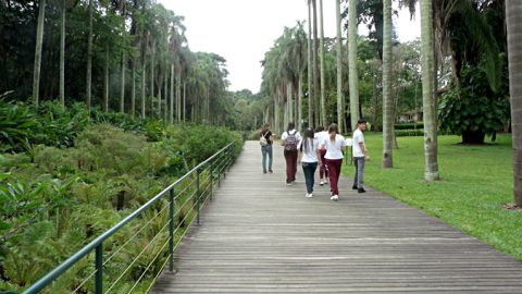 Passeio ao Jardim Botânico - 3º EM