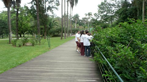 Passeio ao Jardim Botânico - 3º EM