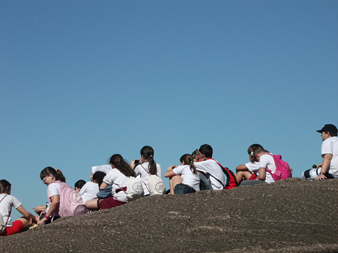 Read more about the article Projeto Estudo do Meio – Serra da Cantareira