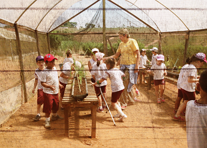 Read more about the article Saída Pedagógica do 1º e 2ºanos do ensino fundamental – Fazenda Ituaú