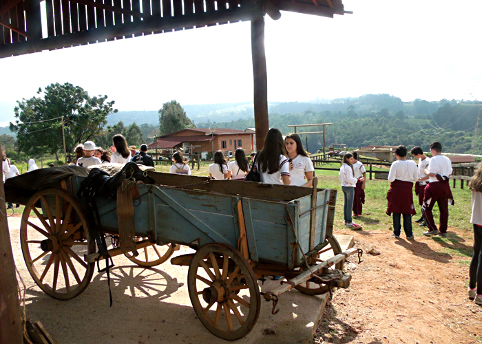 Read more about the article 7º Ano  – Agricultura Familiar em Louveira e Jundiaí