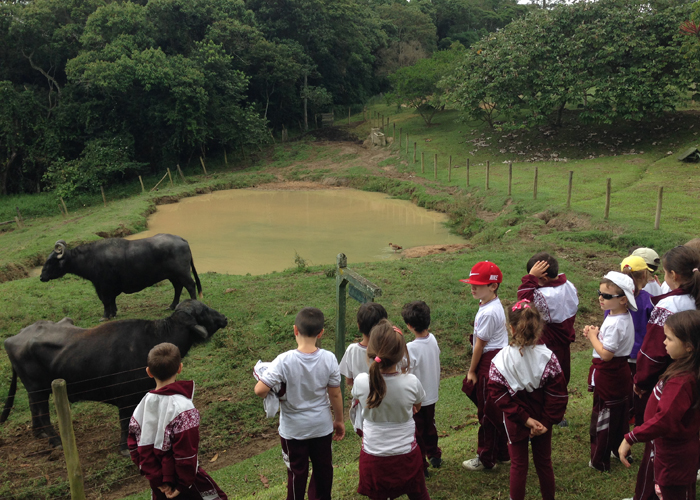 Read more about the article Saída pedagógica – 2º ano do Ensino Fundamental