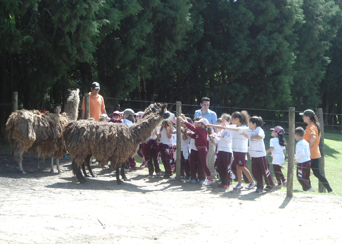 Read more about the article Saída pedagógica – 1º ano do Ensino Fundamental