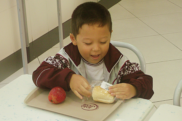 You are currently viewing Alimentação Saudável no Período Integral