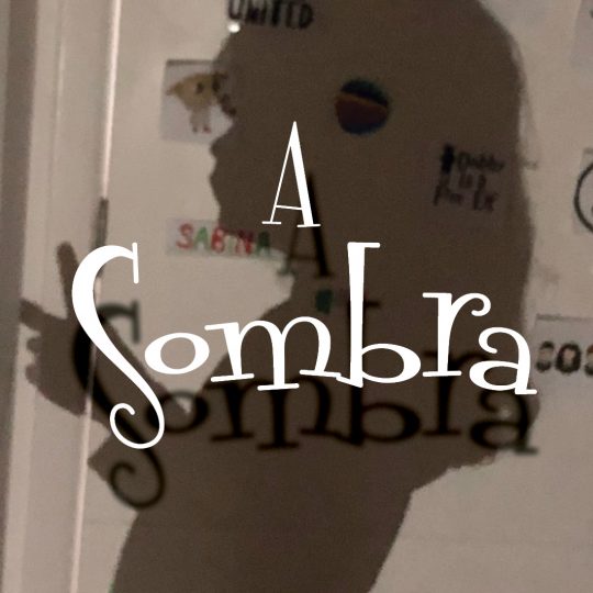 Read more about the article A Sombra