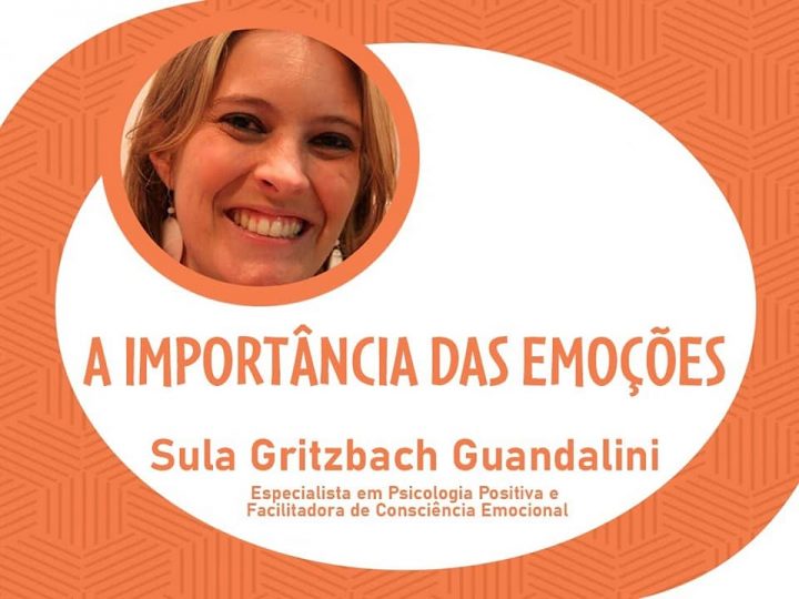 Read more about the article A importância das Emoções