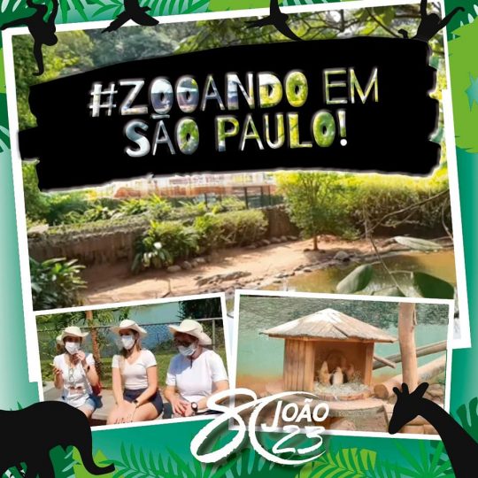 Read more about the article Zooando em São Paulo