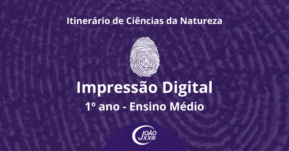 Read more about the article Impressão Digital