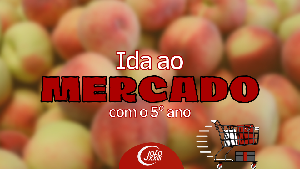 Read more about the article Ida ao Mercado