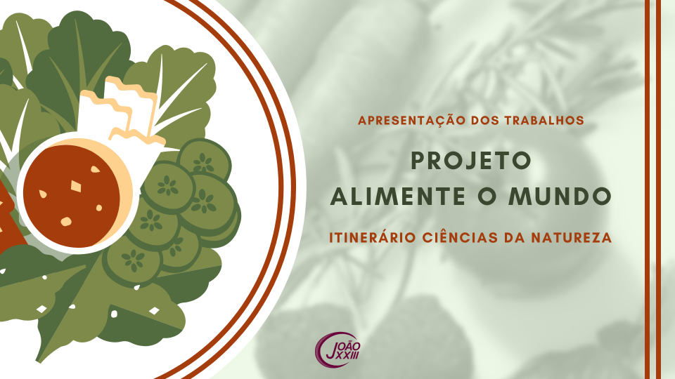 Read more about the article Projeto “Alimente o Mundo”