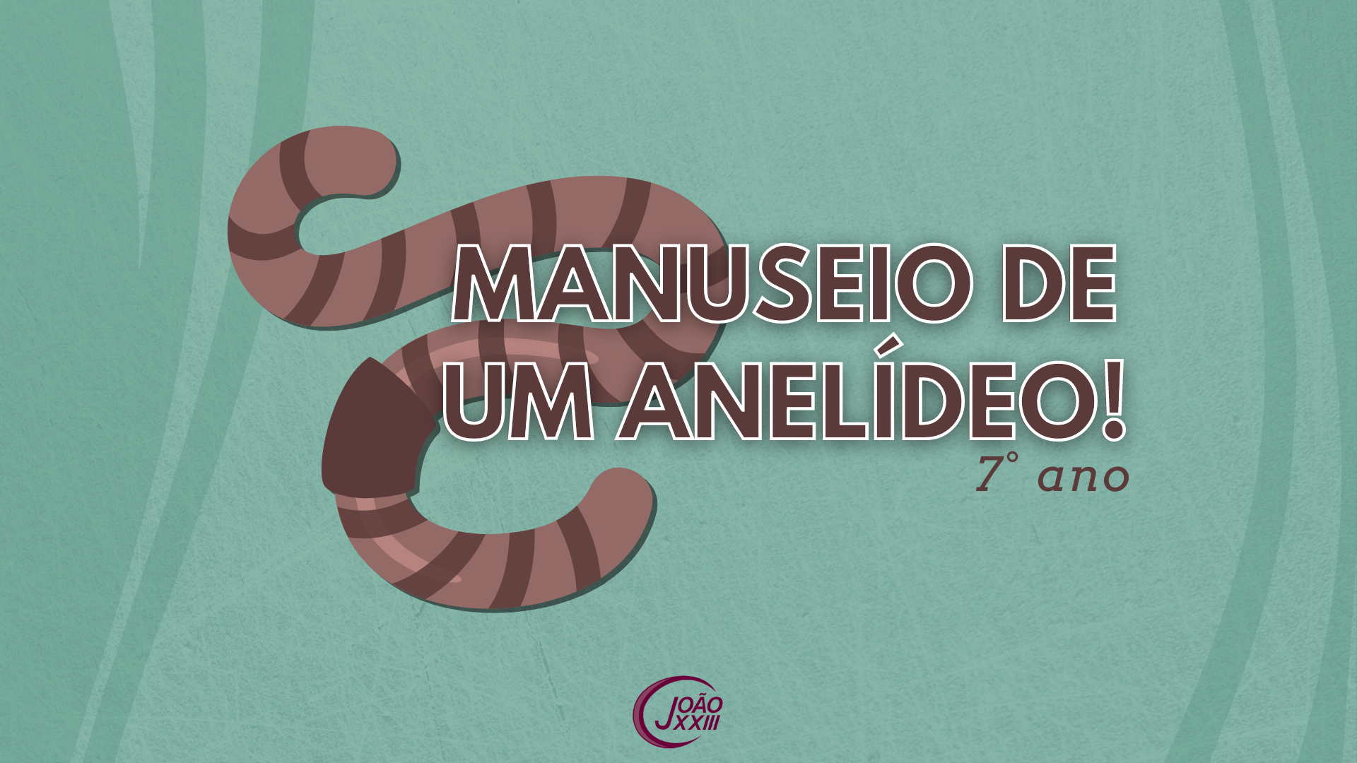 You are currently viewing Manuseio de um Anelídeo!