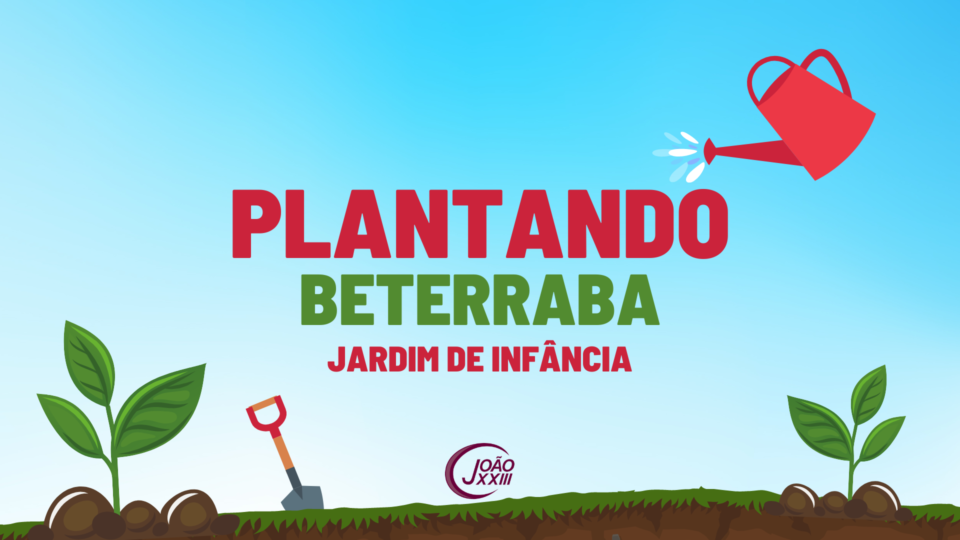 Read more about the article Plantando beterraba