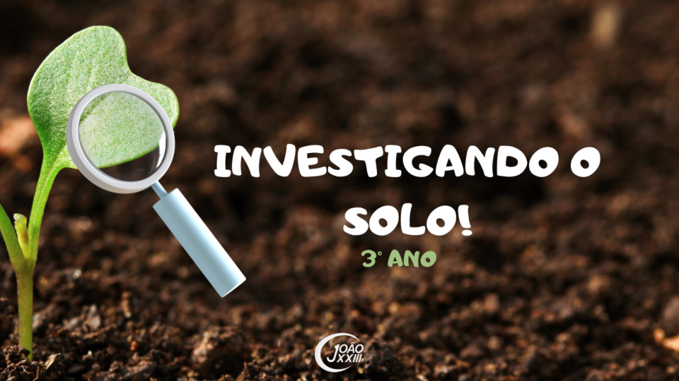 Read more about the article Investigando o solo