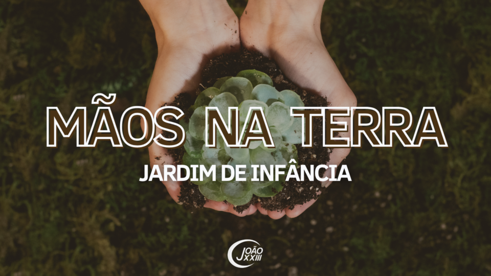 Read more about the article Mãos na terra