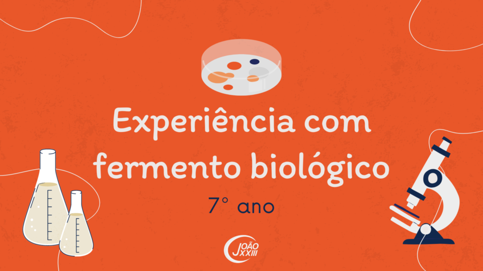 Read more about the article Experiência no laboratório