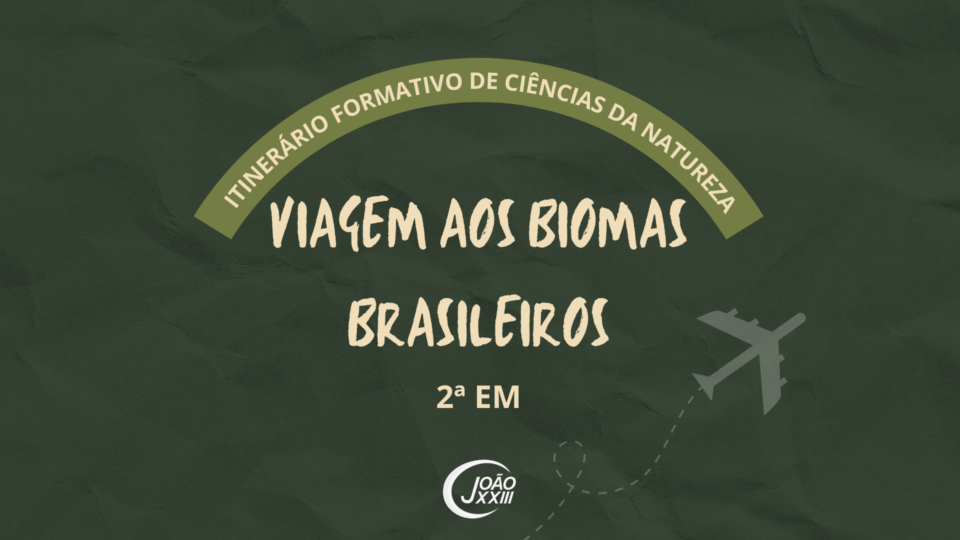 Read more about the article Viagem aos biomas brasileiros
